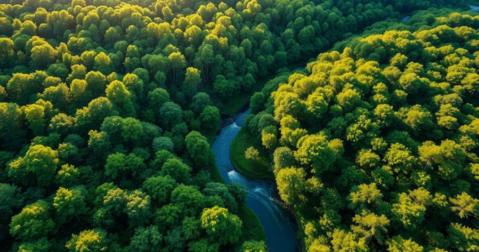 Estudos Ambientais EIA RIMA e Sua Importância para o Meio Ambiente
