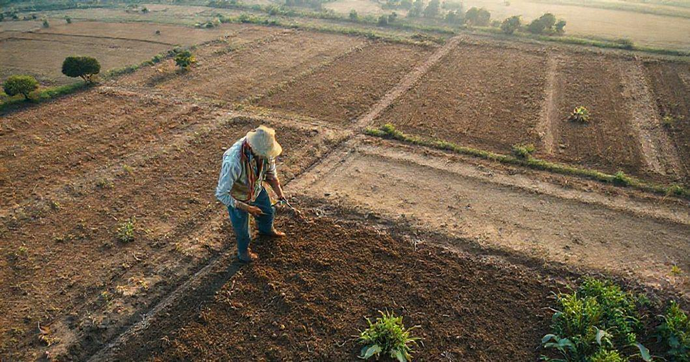 Análise de Solo Completa: O Segredo para Plantações Bem-Sucedidas