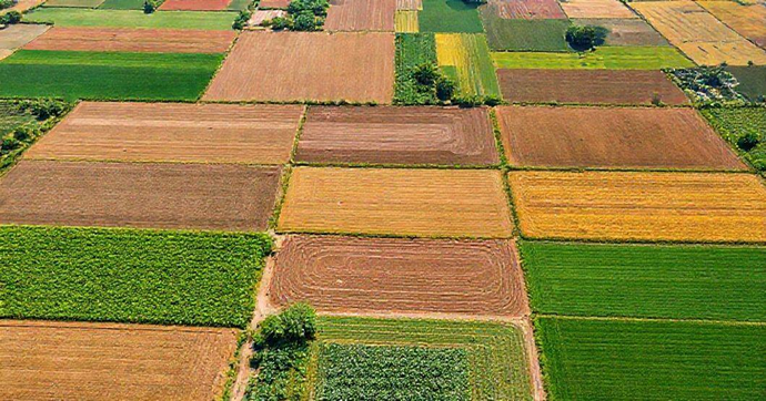 Análise de Solo: Técnicas de Interpretação e Aplicações Práticas para Resultados Precisos