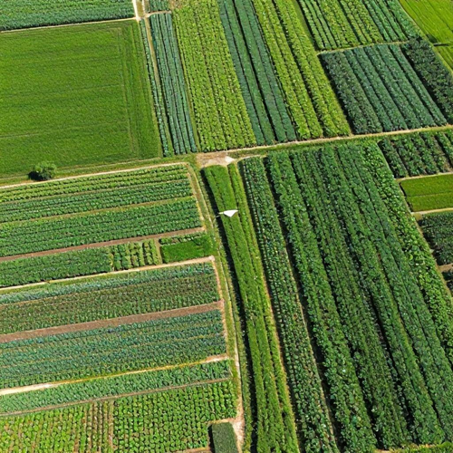 Georreferenciamento Rural: Como Otimizar a Gestão da Sua Propriedade Agrícola