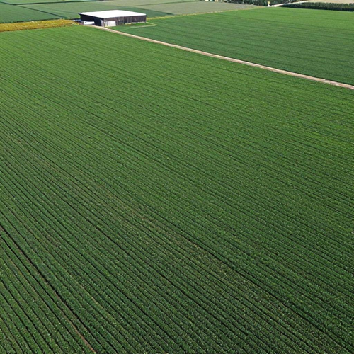 Georreferenciamento Rural: Otimize a Gestão e Produtividade da Sua Propriedade Agrícola