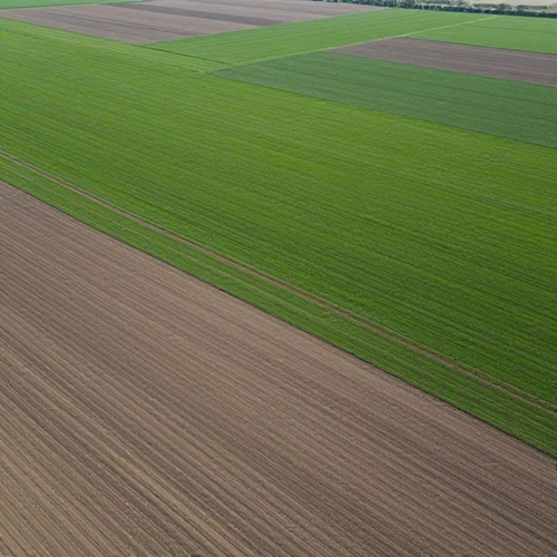 Georreferenciamento Rural: Potencialize a Gestão e Melhore a Produtividade da Sua Propriedade