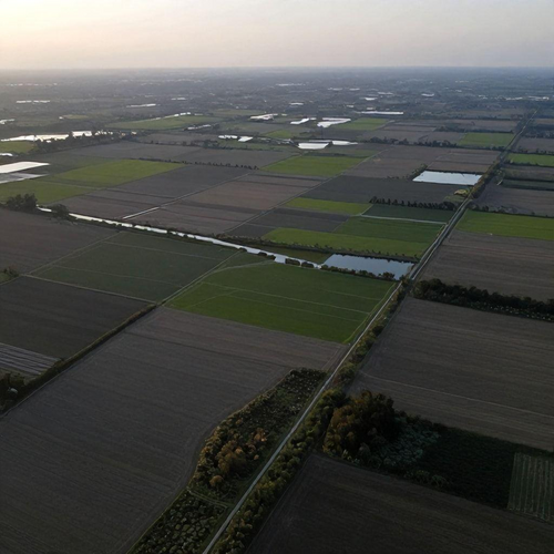 Georreferenciamento Rural: Transforme a Gestão da Sua Propriedade e Aumente a Produtividade