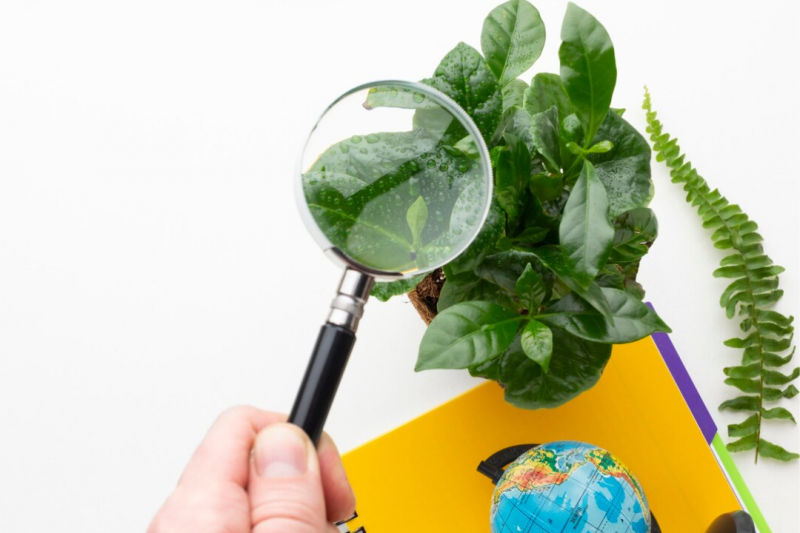 Licença ambiental simplificada: processo rápido para atividades de baixo impacto Licença ambiental simplificada: processo rápido para atividades de baixo impacto