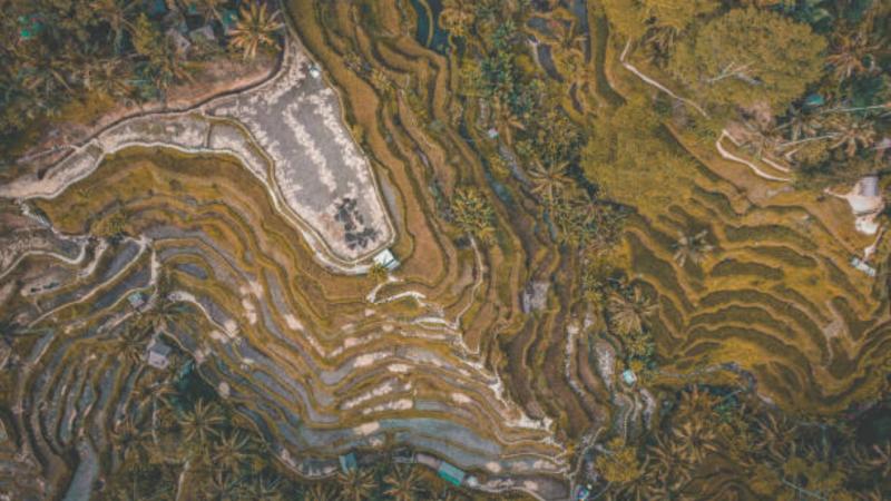 Levantamento Planialtimétrico Cadastral: Precisão Em Medições